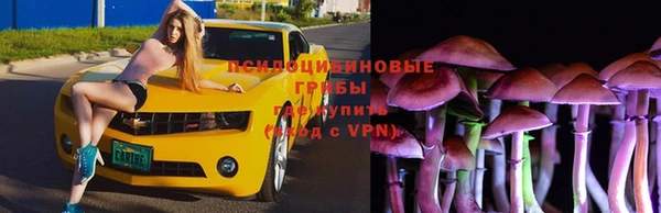 а пвп мука Каменногорск