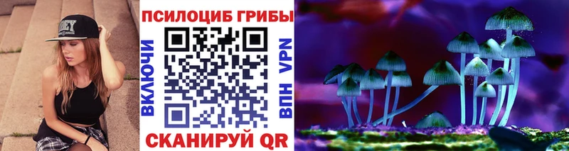 Галлюциногенные грибы GOLDEN TEACHER  где купить наркоту  Альметьевск 
