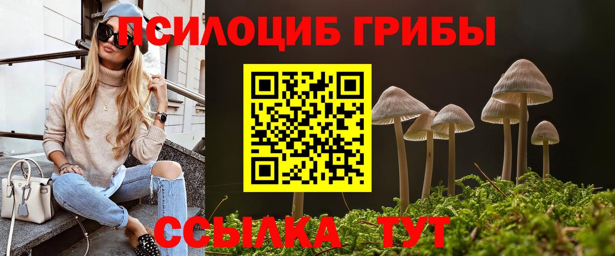 Псилоцибиновые грибы Psilocybine cubensis  наркота  Альметьевск  Псилоцибиновые грибы прущие грибы 