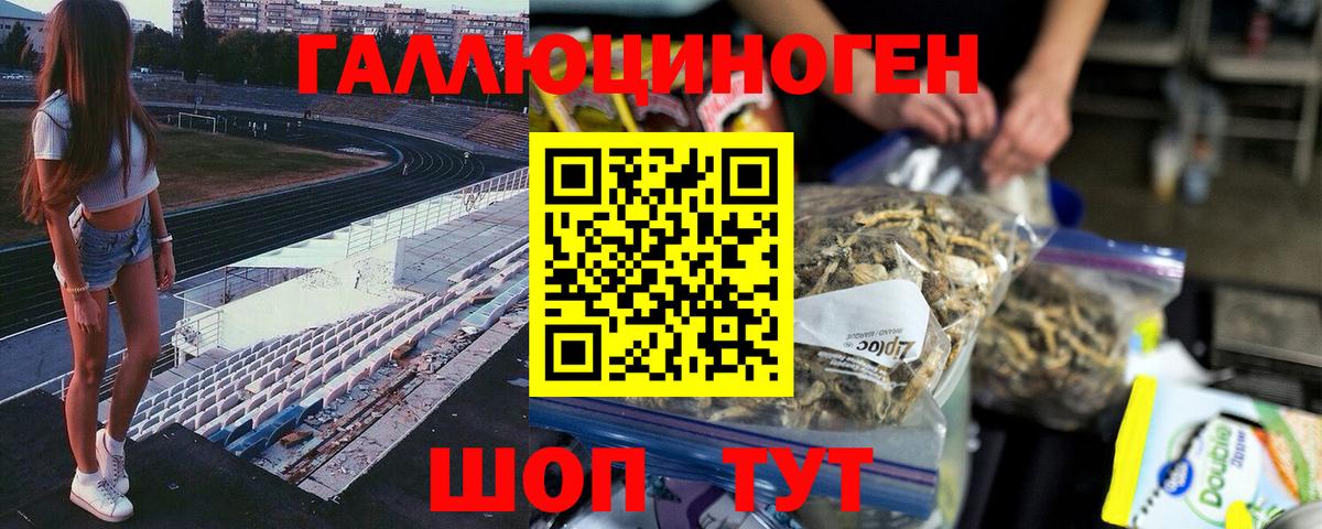 купить закладку  Вход с VPN  Галлюциногенные грибы мицелий  Альметьевск  Галлюциногенные грибы MAGIC MUSHROOMS 
