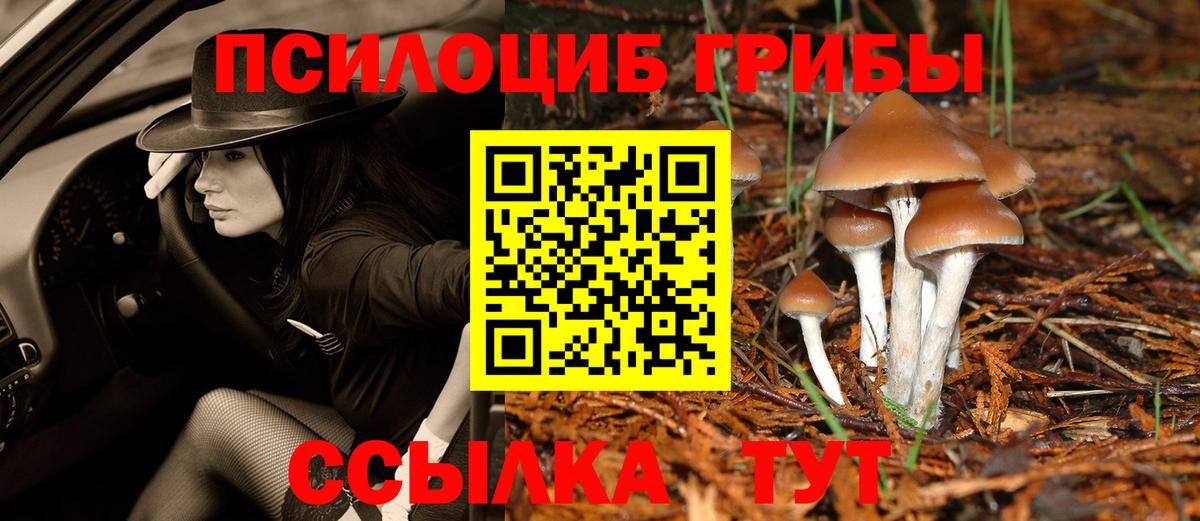 Псилоцибиновые грибы Magic Shrooms Альметьевск